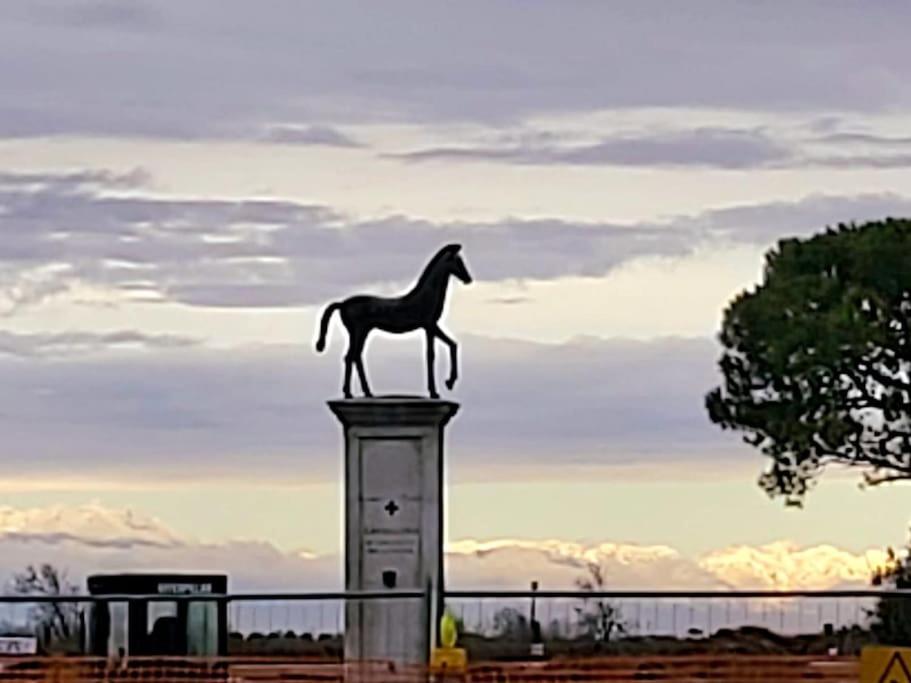 Appartamento Con Vista A Cavallino Venezia Exteriér fotografie