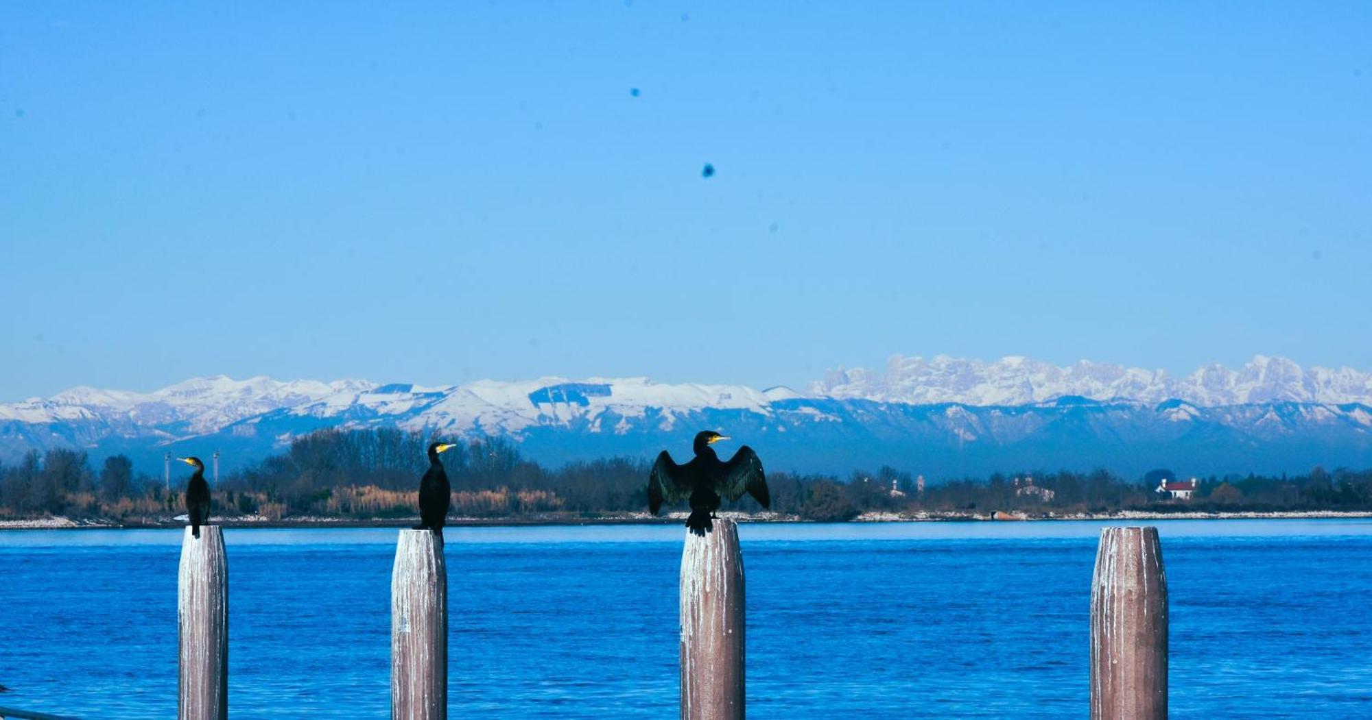 Appartamento Con Vista A Cavallino Venezia Exteriér fotografie